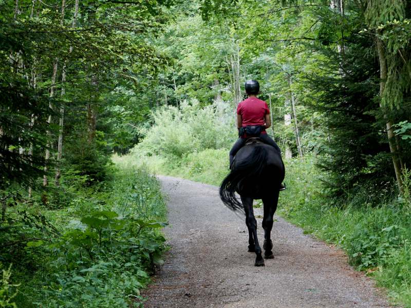 balade cheval drome