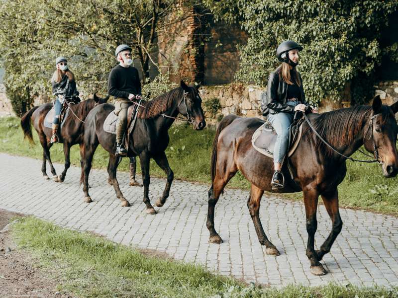 balades cheval tout niveau drome