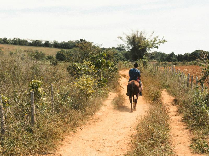 top balades cheval drome